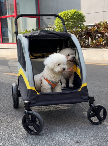 Xxl double seat dog stroller - xxl,